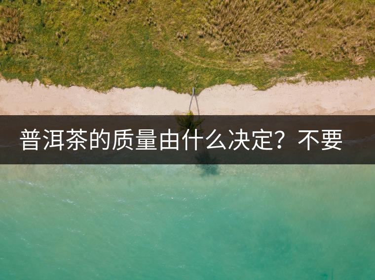 普洱茶的質(zhì)量由什么決定？不要輕信等級