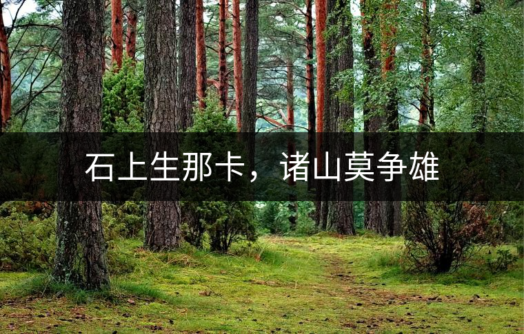 石上生那卡，諸山莫爭雄