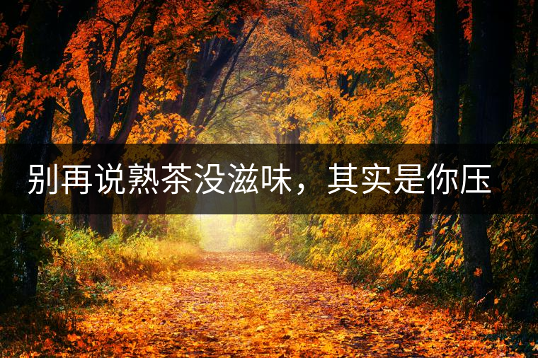 別再說熟茶沒滋味，其實(shí)是你壓根沒喝懂