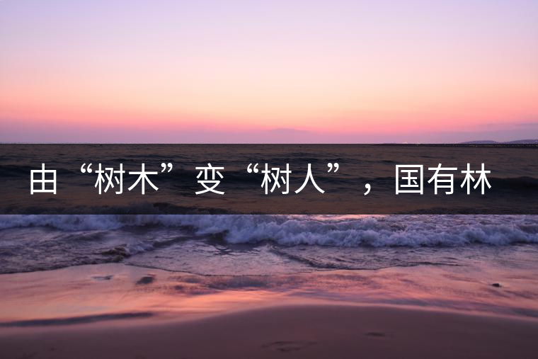 由“樹木”變“樹人”，國有林普洱茶為什么越來越受歡迎？