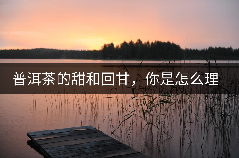 普洱茶的甜和回甘，你是怎么理解的？