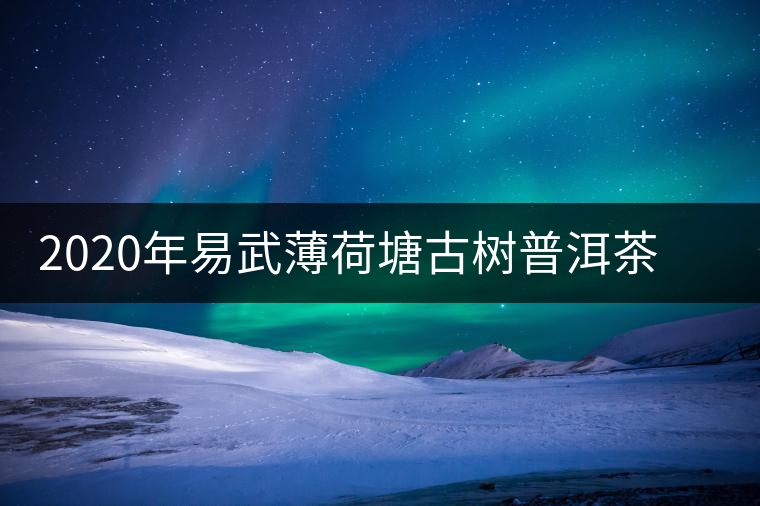 2020年易武薄荷塘古樹普洱茶特點，價格又上漲了嗎？