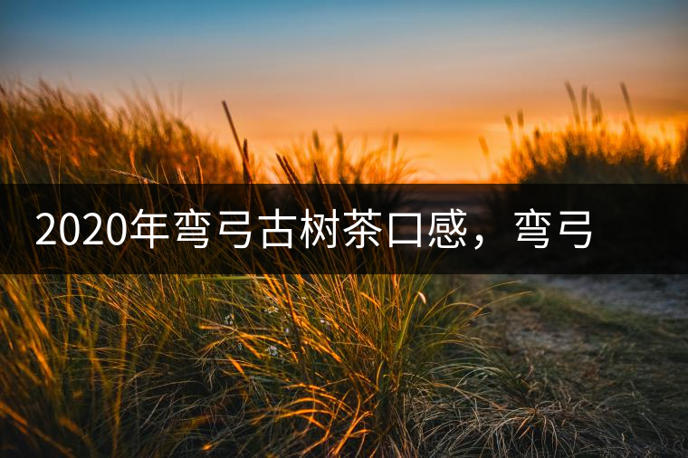 2020年彎弓古樹茶口感，彎弓普洱茶價(jià)格特點(diǎn)