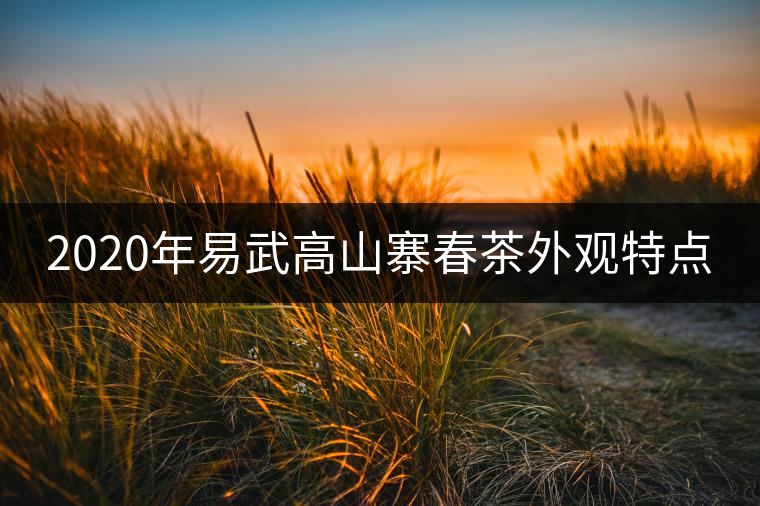 2020年易武高山寨春茶外觀特點(diǎn) 2020年易武高山寨春茶外觀特點(diǎn)