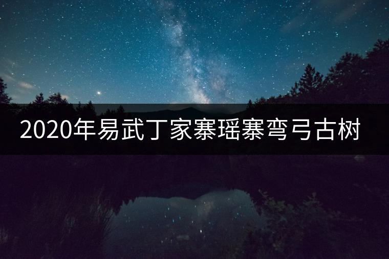 2020年易武丁家寨瑤寨彎弓古樹茶特點(diǎn) 2020年易武丁家寨瑤寨彎弓古樹茶特點(diǎn)