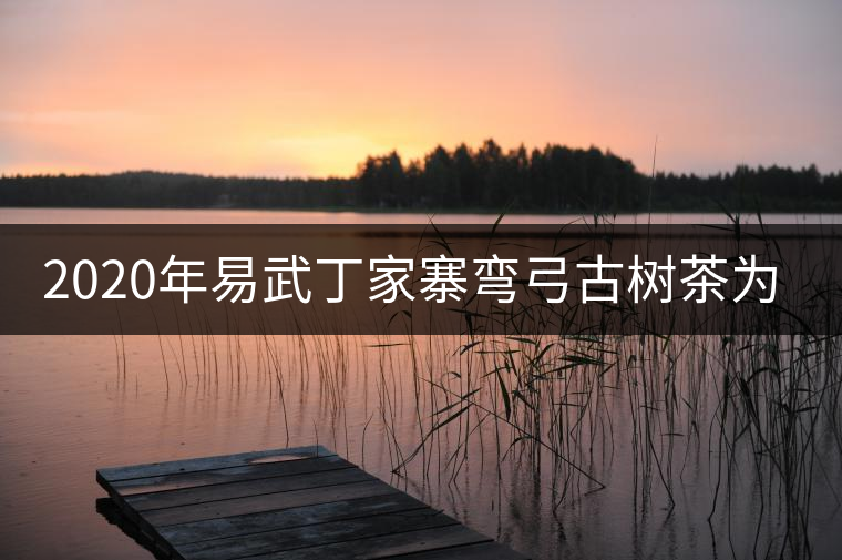 2020年易武丁家寨彎弓古樹茶為什么這么受追捧! 2020年易武丁家寨彎弓古樹茶為什么這么受追捧!