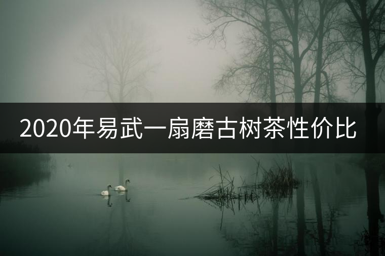 2020年易武一扇磨古樹(shù)茶性價(jià)比之王