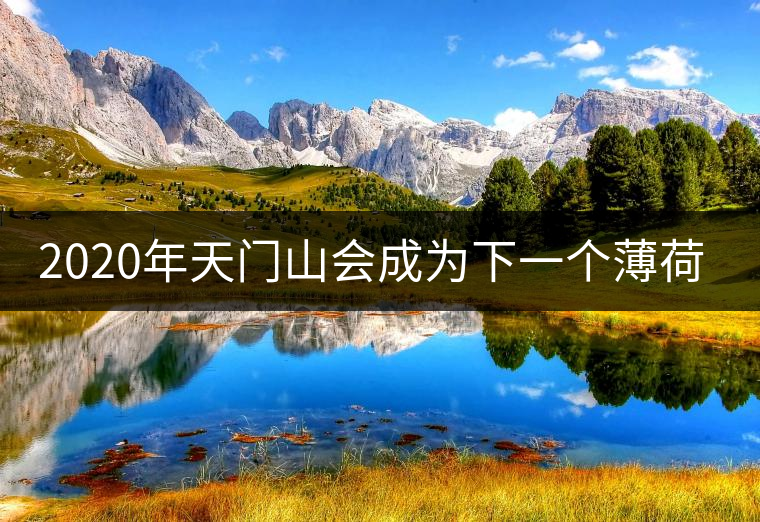 2020年天門山會(huì)成為下一個(gè)薄荷塘嗎？