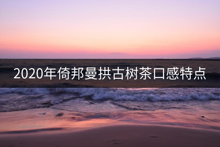 2020年倚邦曼拱古樹茶口感特點 2020年倚邦曼拱古樹茶口感特點