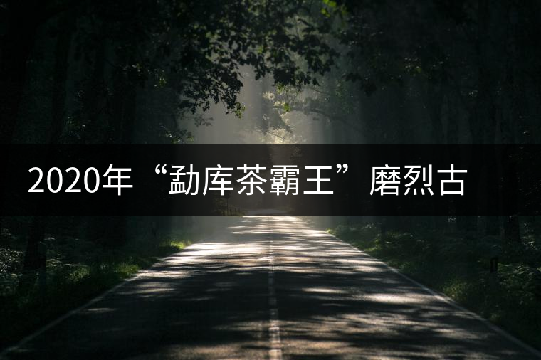 2020年“勐庫(kù)茶霸王”磨烈古樹(shù)春茶華麗逆襲