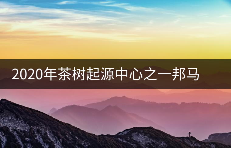 2020年茶樹起源中心之一邦馬大雪山上有哪些神秘的村寨？