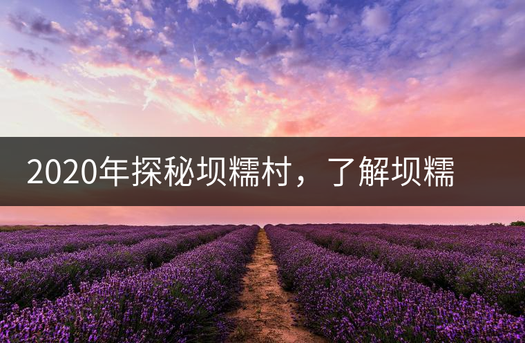 2020年探秘壩糯村，了解壩糯藤條茶的真相