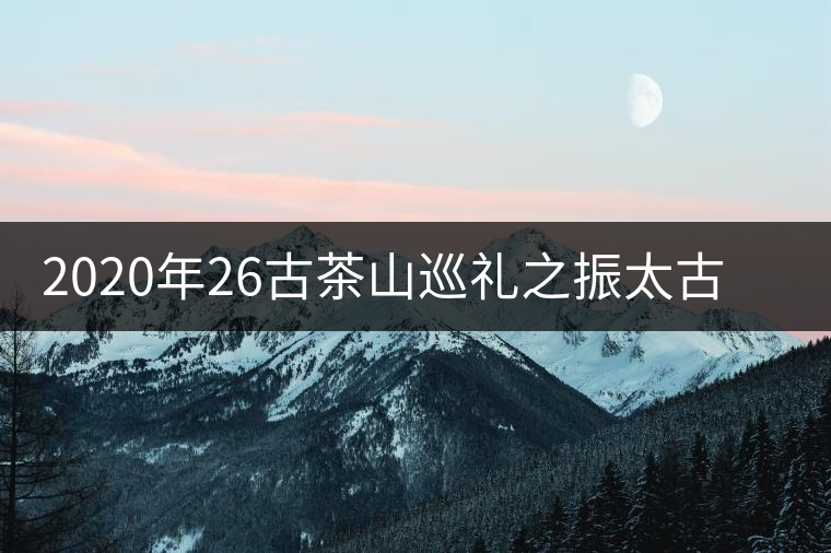2020年26古茶山巡禮之振太古茶山介紹