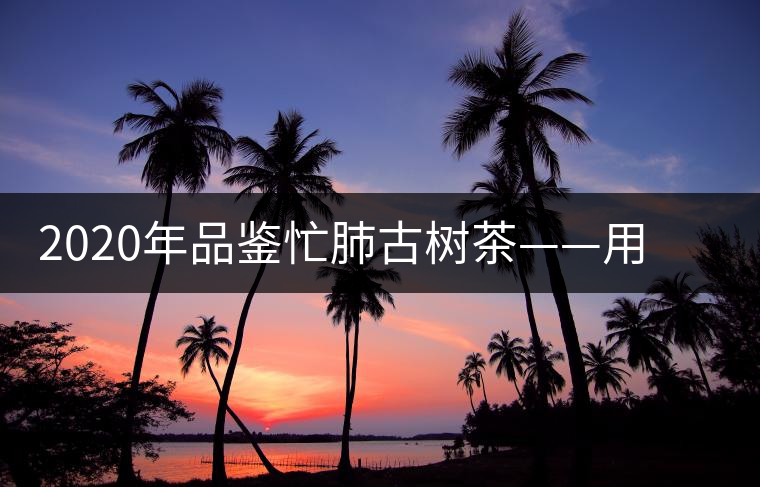 2020年品鑒忙肺古樹(shù)茶——用誠(chéng)意獻(xiàn)上一杯好茶