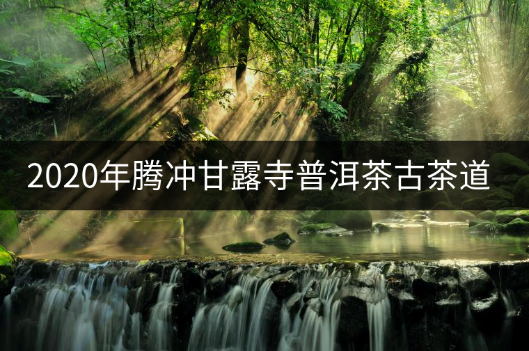 2020年騰沖甘露寺普洱茶古茶道之行