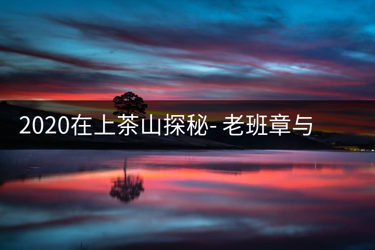 2020在上茶山探秘- 老班章與新班章，一母所生，一念之間，際遇迥異