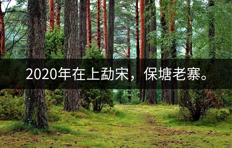 2020年在上勐宋，保塘老寨。