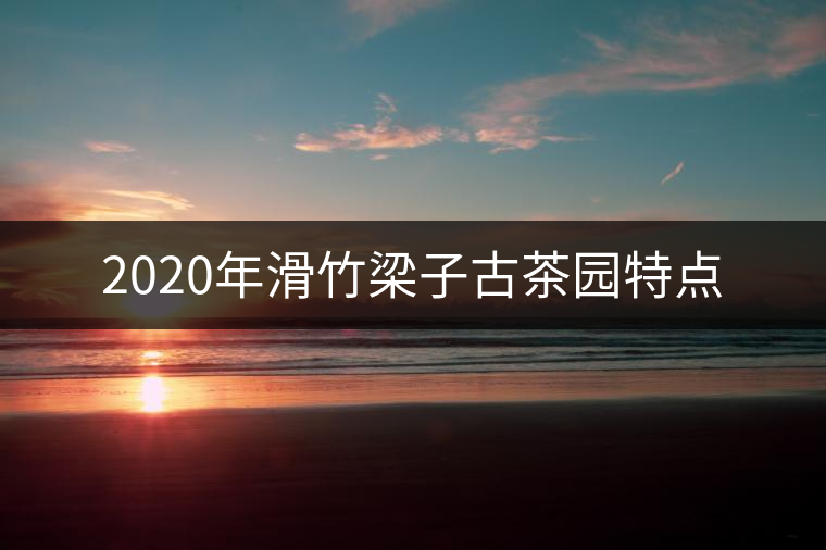 2020年滑竹梁子古茶園特點(diǎn) 2020年滑竹梁子古茶園特點(diǎn)