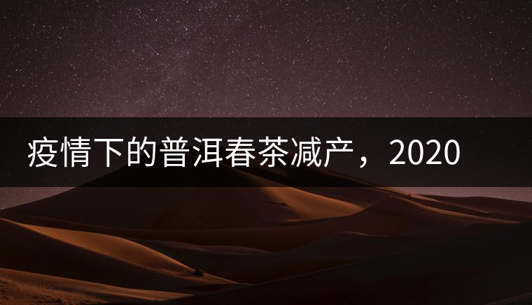 疫情下的普洱春茶減產(chǎn)，2020年價格“兩極分化”或成常態(tài)？