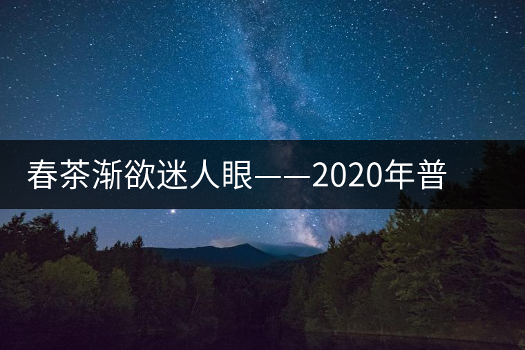 春茶漸欲迷人眼——2020年普洱春茶上市，可別買假了