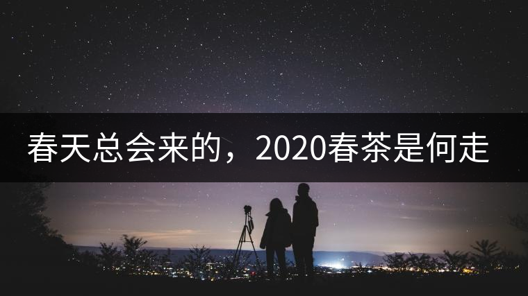 春天總會來的，2020春茶是何走勢？