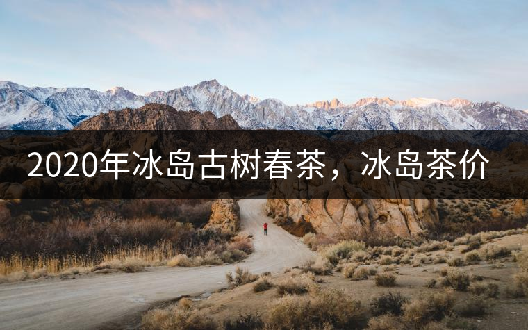2020年冰島古樹(shù)春茶，冰島茶價(jià)格貴在哪里？