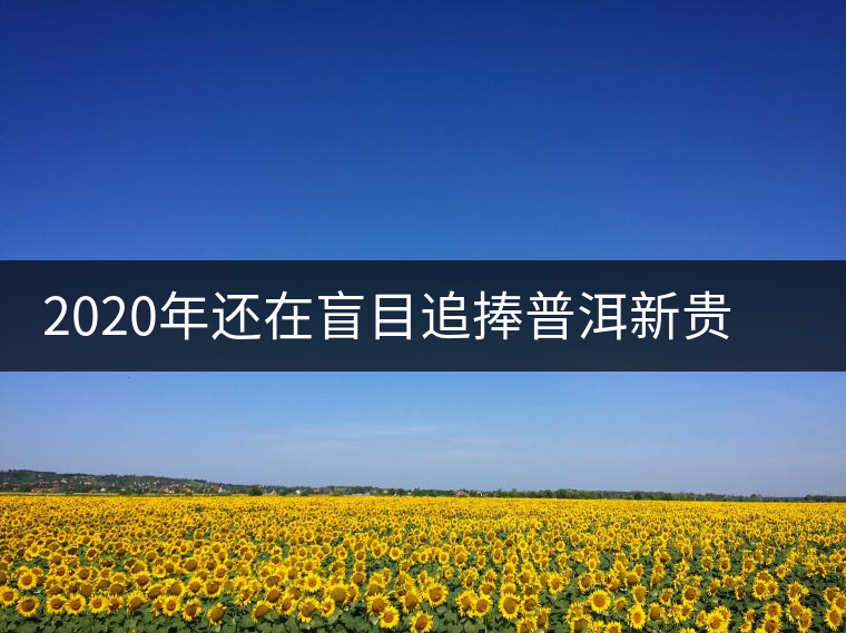 2020年還在盲目追捧普洱新貴“貓耳朵”？我們深入產(chǎn)區(qū)為你揭示最真實(shí)的“貓耳朵”！