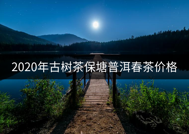 2020年古樹茶保塘普洱春茶價(jià)格