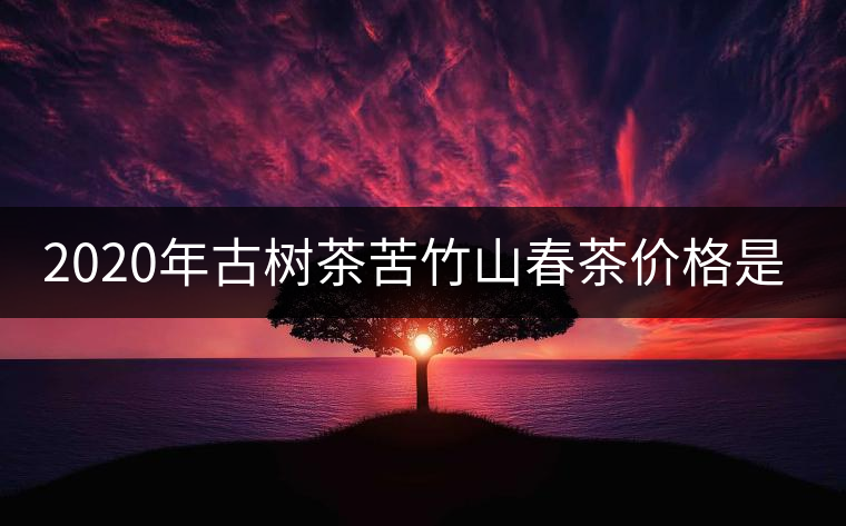 2020年古樹(shù)茶苦竹山春茶價(jià)格是多少？