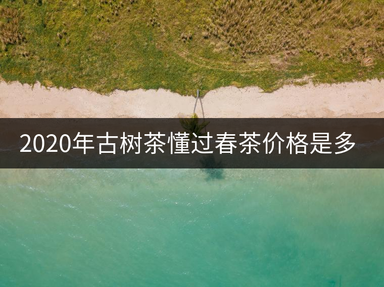 2020年古樹茶懂過春茶價格是多少？