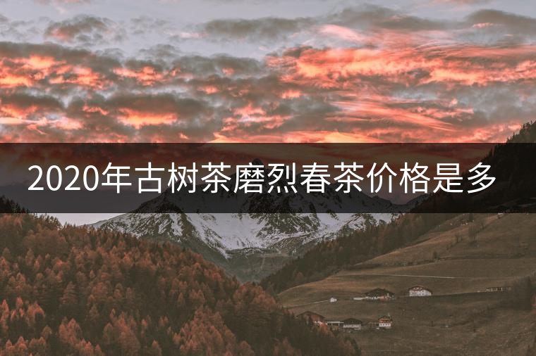 2020年古樹茶磨烈春茶價格是多少？