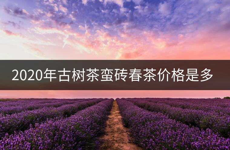2020年古樹茶蠻磚春茶價格是多少？