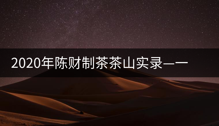 2020年陳財制茶茶山實錄—一手提7山，感受小產(chǎn)區(qū)的奧秘