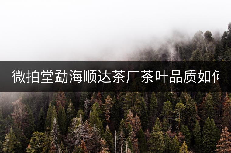 微拍堂勐海順達茶廠茶葉品質(zhì)如何？