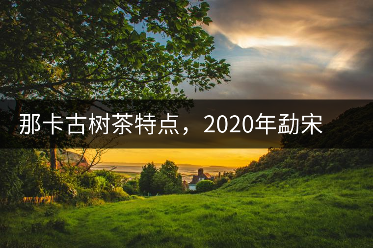 那卡古樹茶特點(diǎn)，2020年勐宋茶區(qū)保塘普洱茶口感