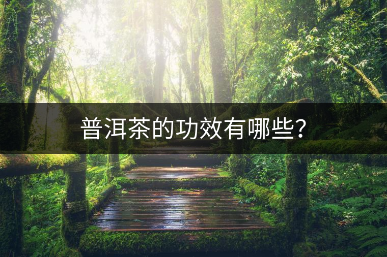 普洱茶的功效有哪些？