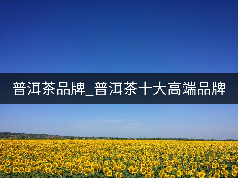 普洱茶品牌_普洱茶十大高端品牌_哪個牌子好？