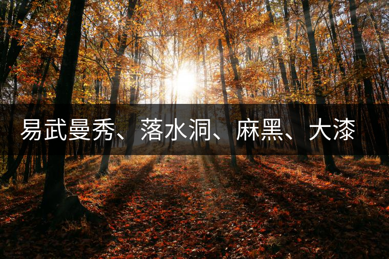 易武曼秀、落水洞、麻黑、大漆樹(shù)等你更喜歡哪個(gè)茶？