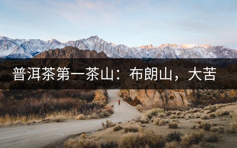 普洱茶第一茶山：布朗山，大苦大甘是它的魂