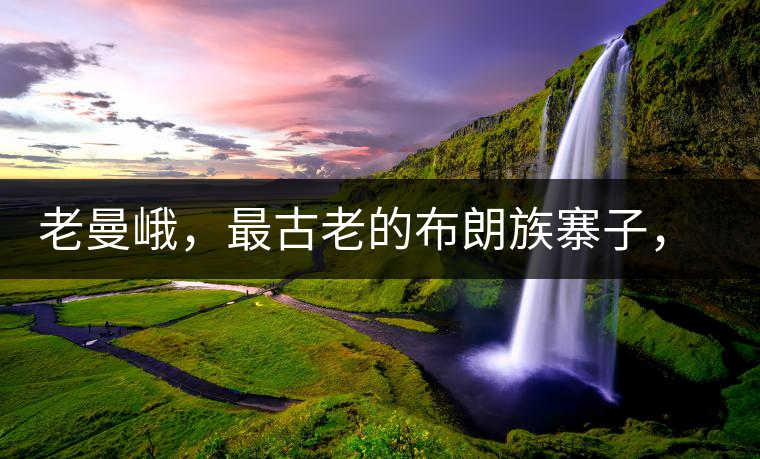 老曼峨，最古老的布朗族寨子，最極端的普洱茶