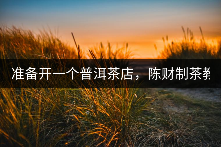 準備開一個普洱茶店，陳財制茶教你怎么做！