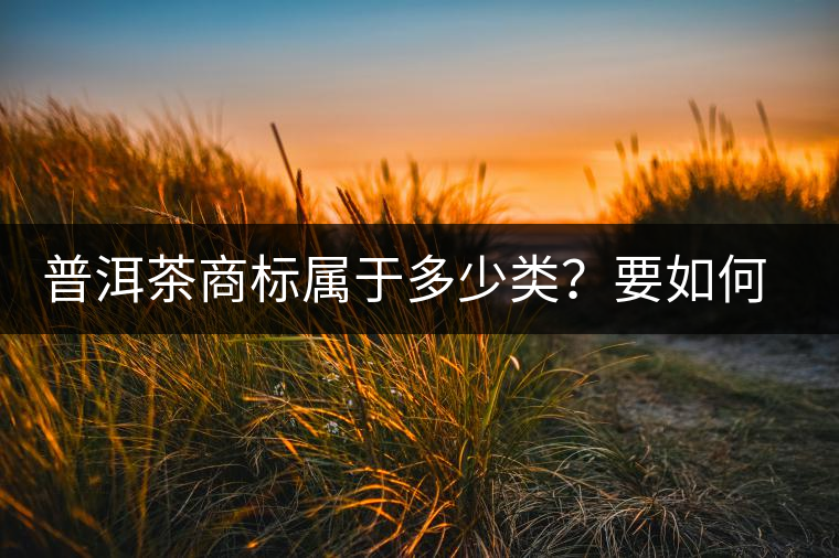 普洱茶商標(biāo)屬于多少類？要如何注冊