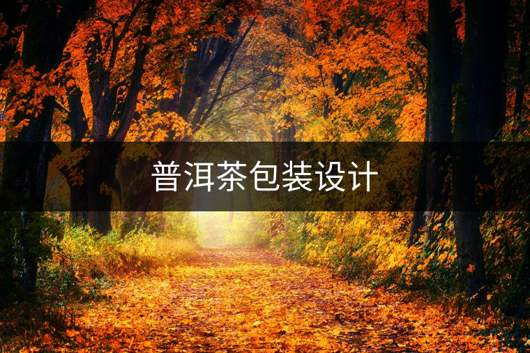 普洱茶包裝設計