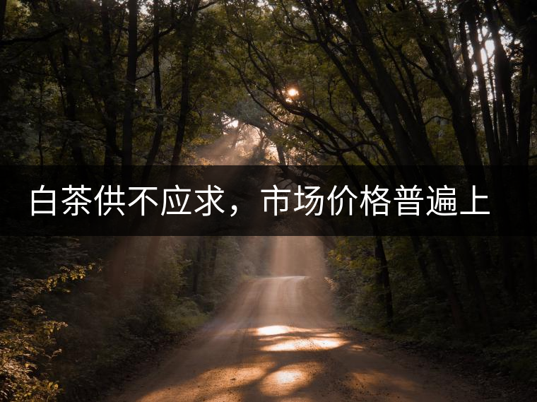 白茶供不應求，市場價格普遍上漲？