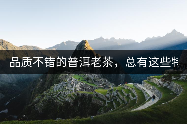 品質(zhì)不錯(cuò)的普洱老茶，總有這些特點(diǎn)！