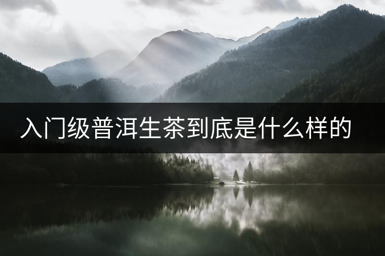 入門級(jí)普洱生茶到底是什么樣的口感？