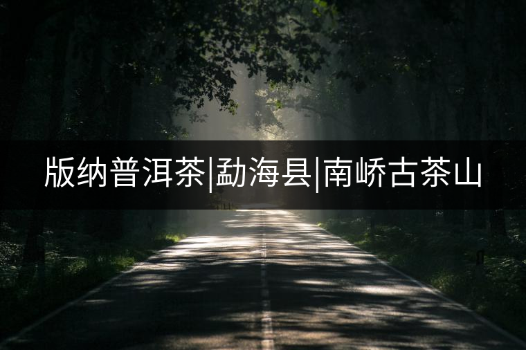 版納普洱茶|勐?？h|南嶠古茶山