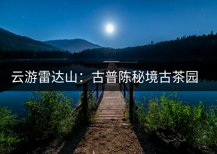 云游雷達(dá)山：古普陳秘境古茶園，品第一杯春鮮