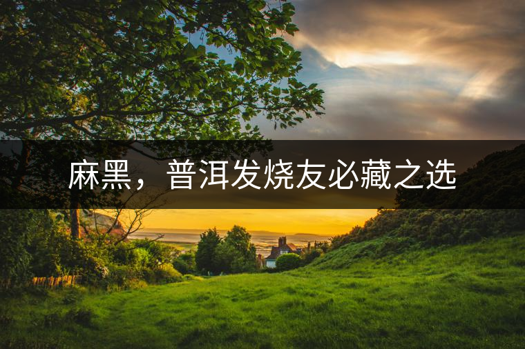 麻黑，普洱發(fā)燒友必藏之選