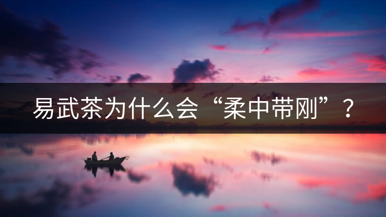 易武茶為什么會“柔中帶剛”？